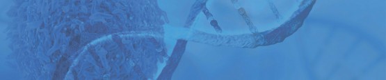 Register early and benefit from our early bird rate